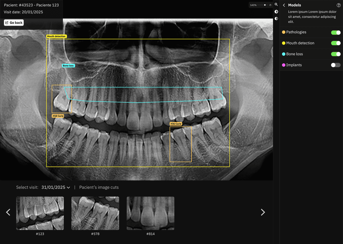 D2L Interface Screenshot